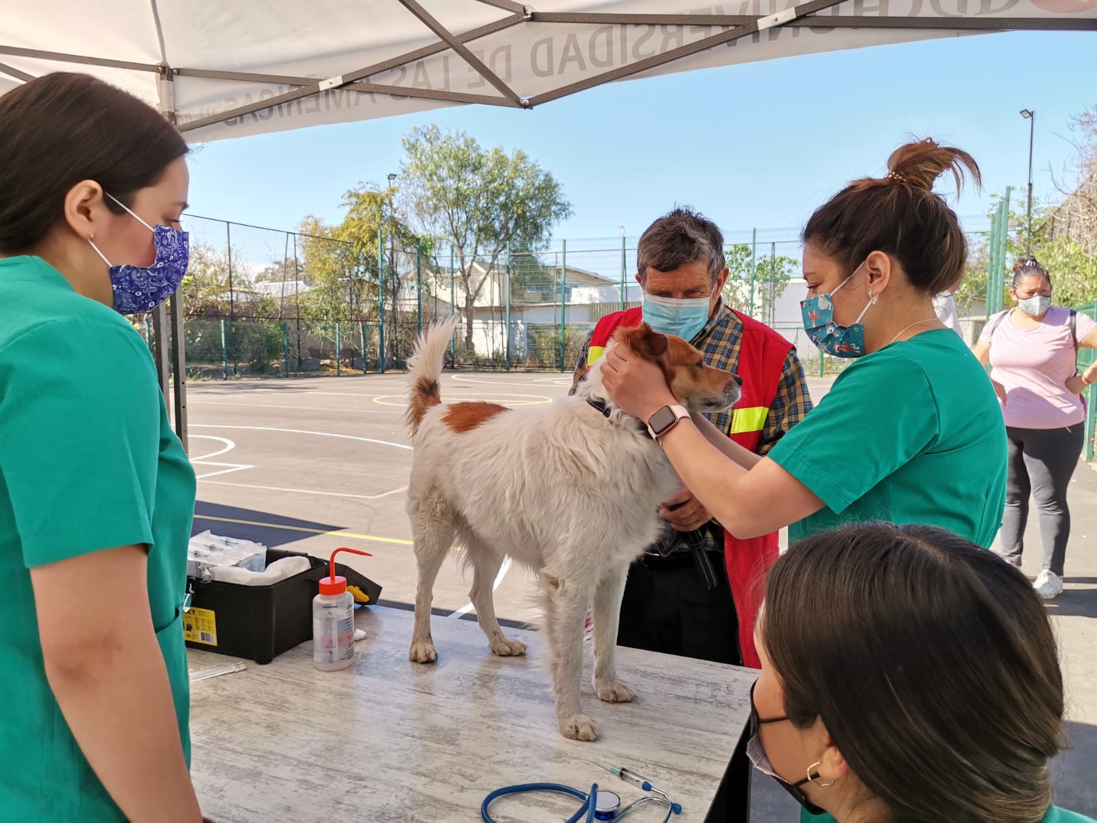 Estudiantes De La Escuela De Medicina Veterinaria Vacunan Y