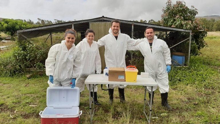 Académica de UDLA realiza investigación sobre virus influenza aviar y newcastle en aves silvestres y domésticas de Isla de Pascua