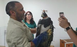 Facultad de Medicina Veterinaria y Agronomía se adjudica tres fondos concursables de Vinculación con el Medio 2