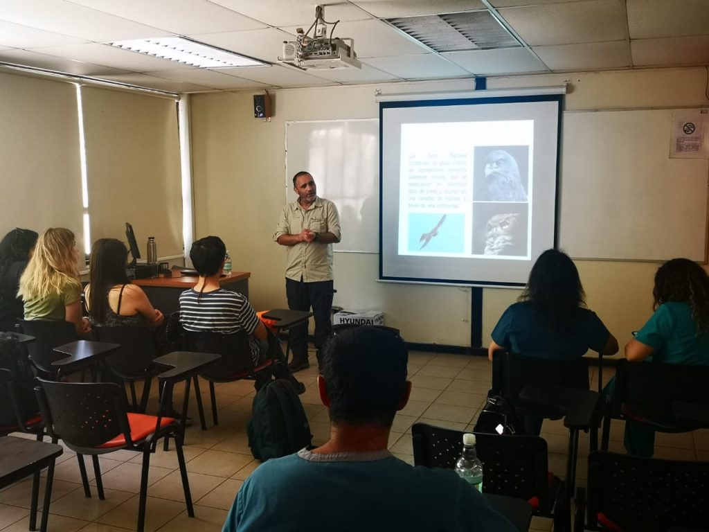 Los proyectos de los académicos Paola Mujica, Karen Valenzuela y Felipe Garrido se basan en medio ambiente, sustentabilidad e innovación.