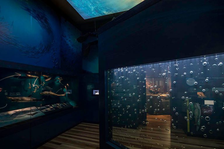 Facultad de Comunicaciones y Artes desarrolla charla sobre traducción universal en el entorno multimodal museográfico