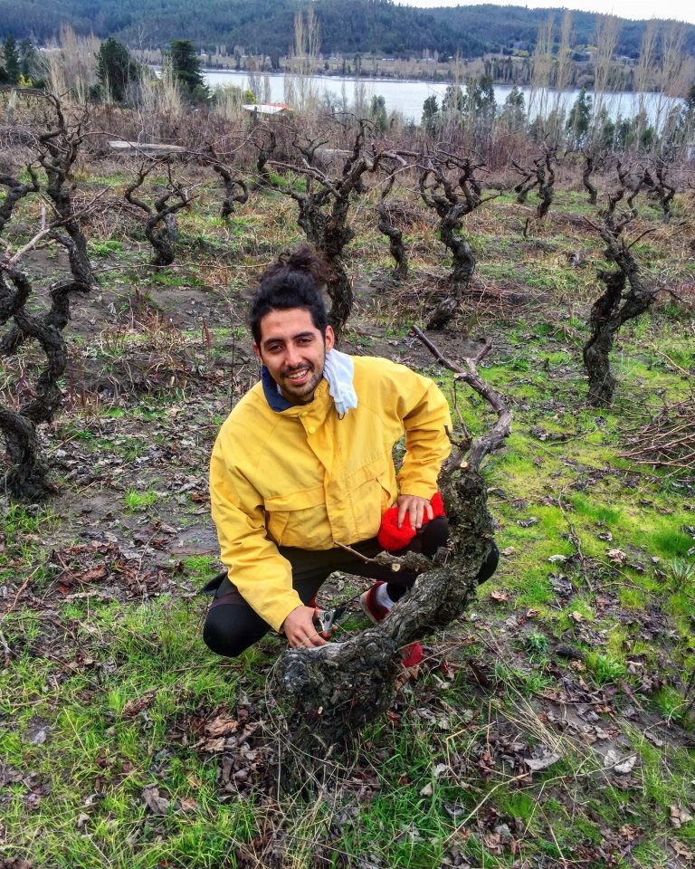 Bastián Cea, egresado de Técnico Agronoviticultura y Enología: “Me he convertido en un profesional competente y capaz de generar un impacto en las personas”