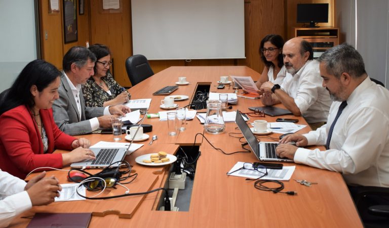 Comisión Superior de Jerarquización sesiona en primer semestre y ratifica la incorporación de nueve profesores titulares