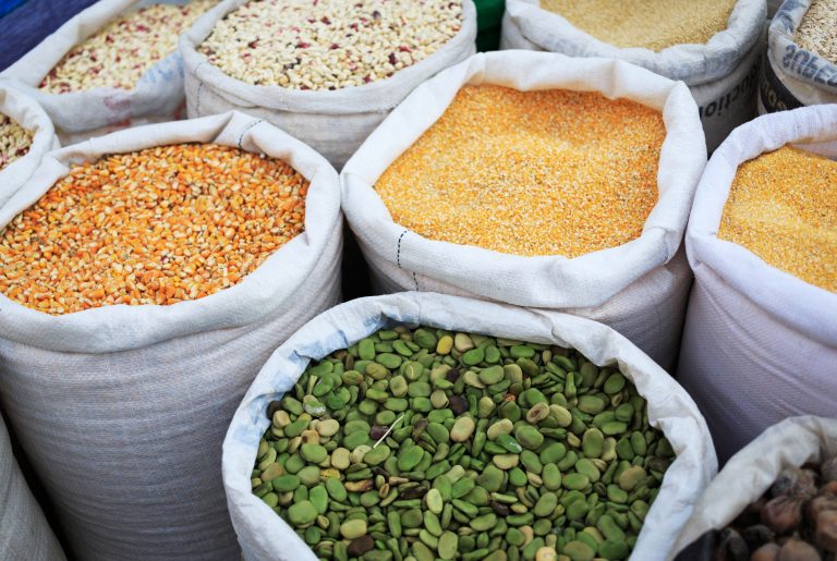 Investigación de UDLA es parte de boletín de la Organización de las Naciones Unidas para la Agricultura y la Alimentación