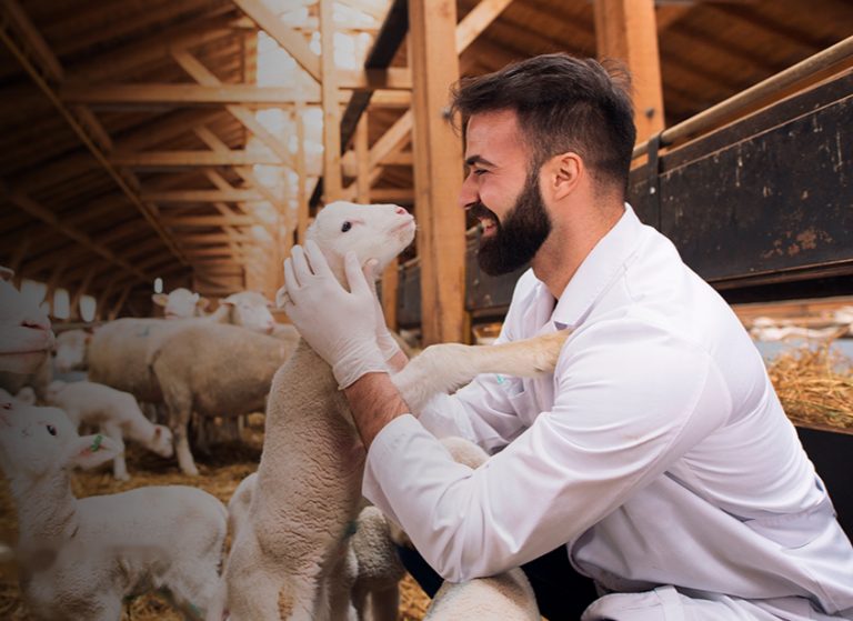 Escuela de Agronomía realiza curso para egresados enfocado en el bienestar animal y su beneficio en sistemas productivos