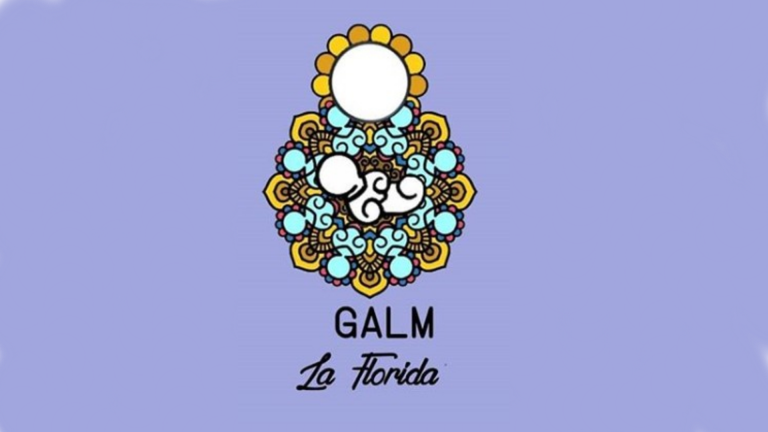 Grupo de Apoyo a la Lactancia Materna invita a académicas de UDLA a exponer sobre alimentación sustentable