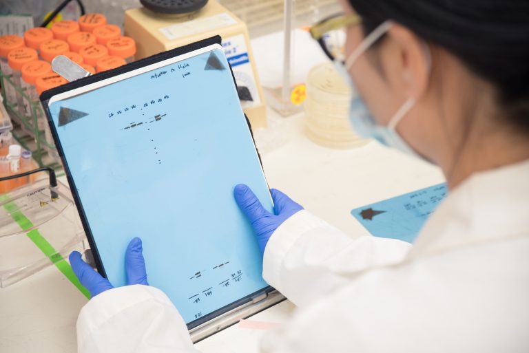 Escuela de Pedagogía en Educación Física convocó a estudiantes para conocer la estructura de un artículo científico y cómo redactarlos