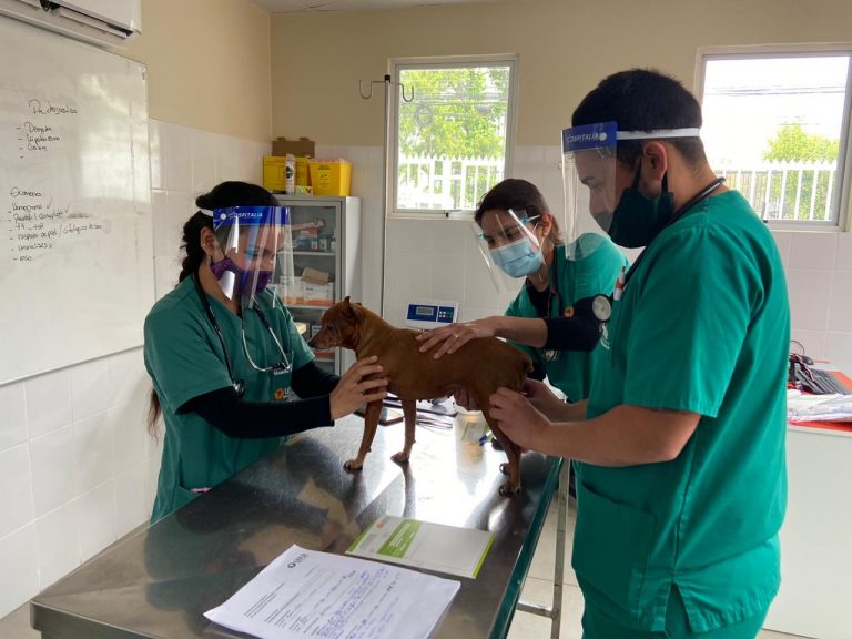 Sede Viña del Mar reanuda actividades académicas presenciales con estricto protocolo sanitario