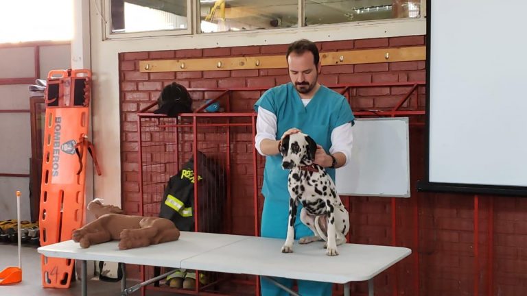 Egresado destacado de la Facultad de Veterinaria y Agronomía: Alonso Ségeur