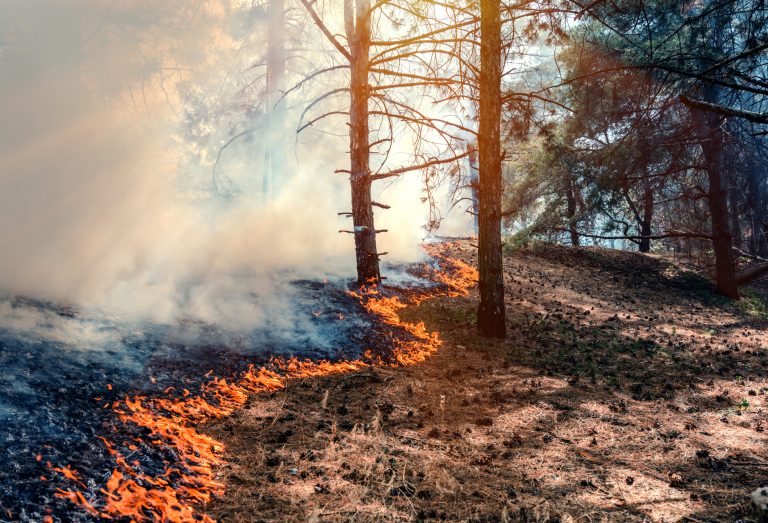 Temporada de incendios: Escuela de Enfermería advierte los problemas que puede traer para la salud inhalar monóxido de carbono