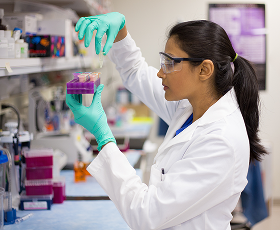 Seminario de la Facultad de Medicina y Veterinaria aborda el concepto de “Una Salud” desde la interdisciplinariedad