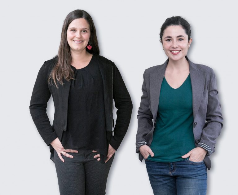 Revista Preventive Veterinary Medicine publica estudio de investigadoras UDLA sobre influenza en perros y gatos