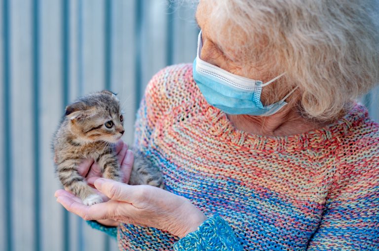 Académica de la Escuela de Medicina Veterinaria entrega recomendaciones para detectar y evitar el estrés en mascotas