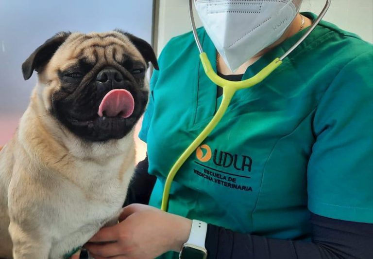 Estudiantes de la Facultad de Medicina Veterinaria y Agronomía comienzan su retorno gradual a talleres presenciales