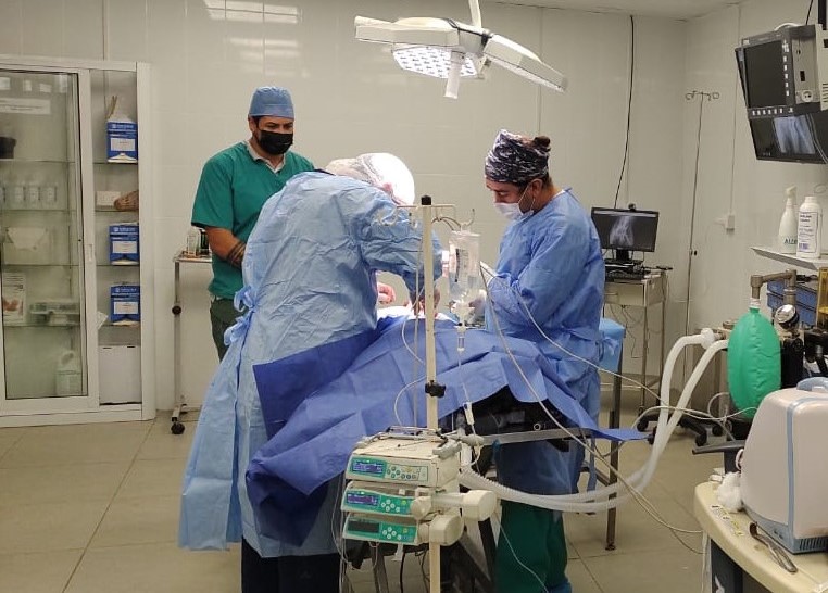 Conoce el renovado Centro Veterinario de Sede Viña del Mar y su labor comunitaria como hospital docente