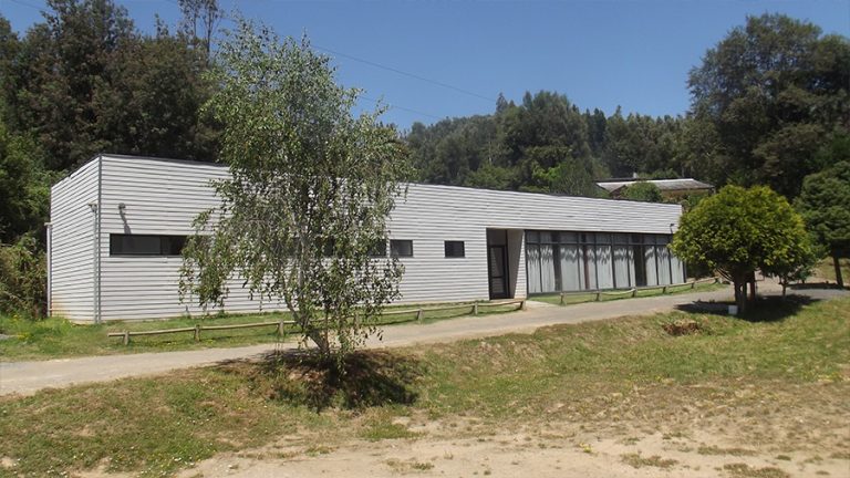 Centro Veterinario de Sede Concepción realiza atenciones para caninos y felinos en su Estación Experimental