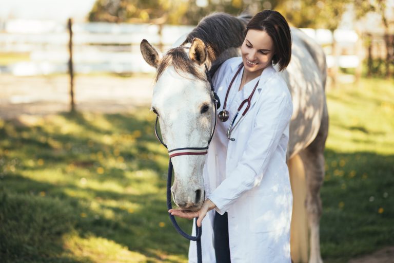 Expositores internacionales imparten seminario de Bienestar y Etología aplicada de equinos en UDLA