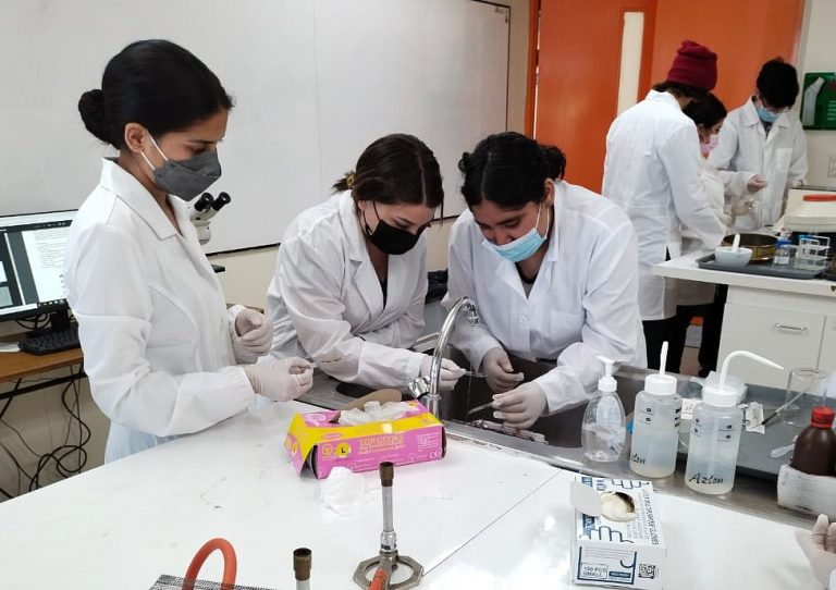 Taller práctico entrega valiosa experiencia en la formación de estudiantes de la carrera Técnico Nivel Superior Veterinario