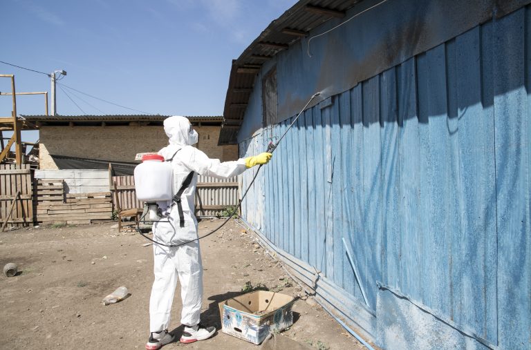 Como parte de los trabajos A+S, Escuela de Medicina Veterinaria realiza exitoso operativo de control de plagas en campamento de Peñaflor