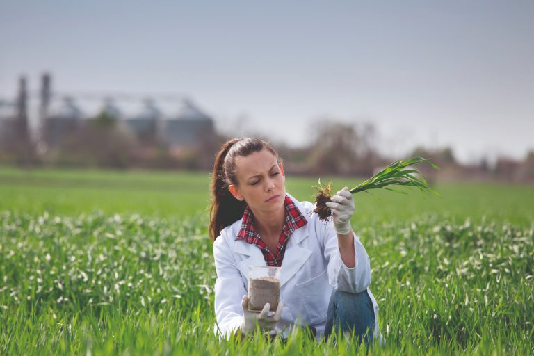 Agronomía en UDLA: prácticas en terreno desde los primeros años, fuerte componente tecnológico y respeto por el medioambiente