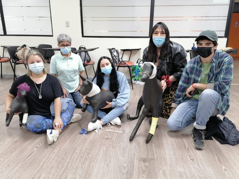 Estudiantes de Medicina Veterinaria de Sede Concepción realizan taller de primeros auxilios para mascotas gracias Fondo Concursable de DAE