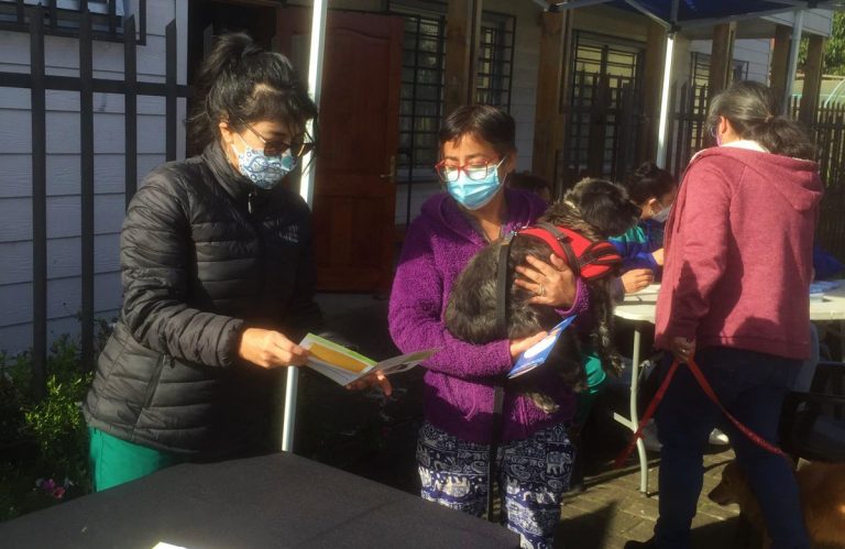 Estudiantes de la Escuela de Medicina Veterinaria modalidad Executive vacunan e implantan microchips a más de 40 mascotas en barrio de Concepción