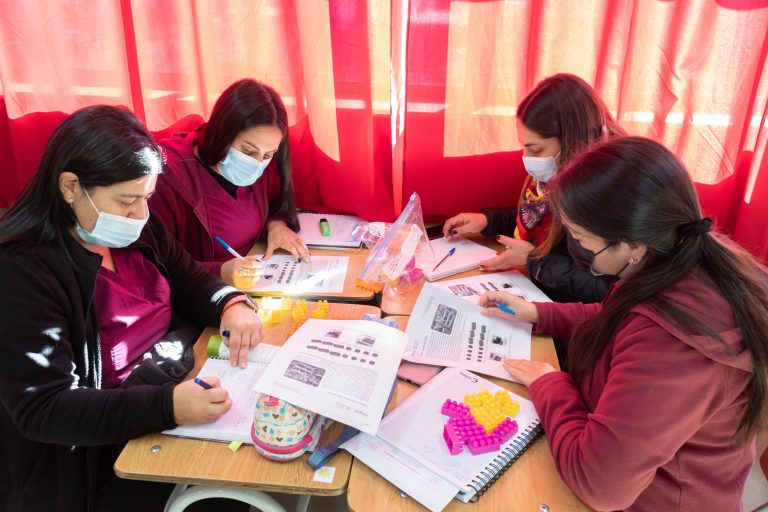 Instituto de Matemática, Física y Estadística capacita sobre estrategias didácticas y uso de Tics a profesores de colegios de Hualpén y Chiguayante