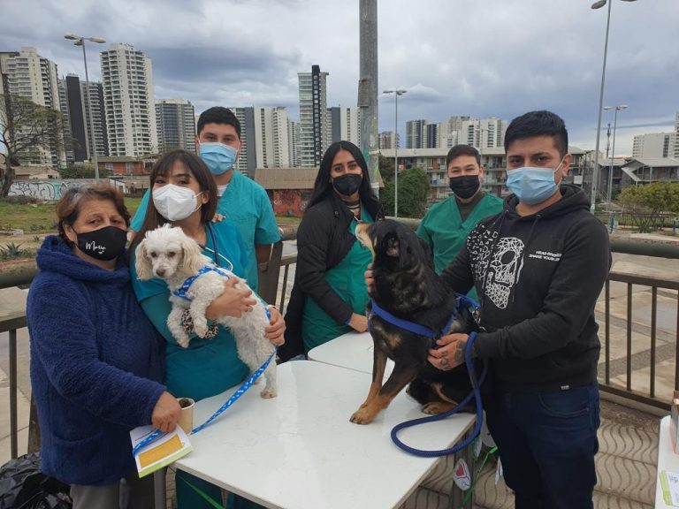 Estudiantes del Programa de Intervención Comunitaria difunden sus proyectos y realizan operativos de salud en feria de junta de vecinos Vista al Mar de Concón