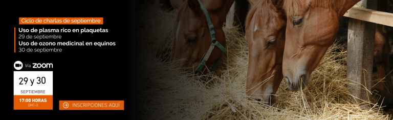 Escuela de Medicina Veterinaria reúne a estudiantes y egresados en charlas dirigidas a profundizar en el tratamiento clínico de caballos
