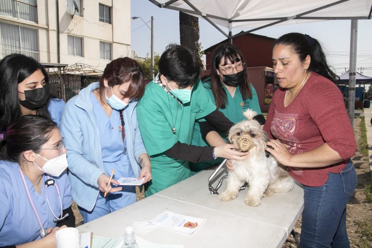 Masiva intervención territorial realizan estudiantes del Campus Providencia en la Población Vicuña Mackenna Sur de la comuna de Macul