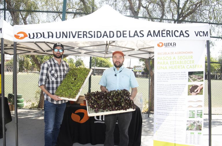 Estudiantes de cuatro carreras del Campus Providencia realizan asesoramiento en distintas áreas vecinos de la comuna de Macul