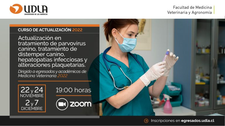 Escuela de Medicina Veterinaria capacita a sus egresados y académicos con curso enfocado en conocidas enfermedades que sufren los animales de compañía