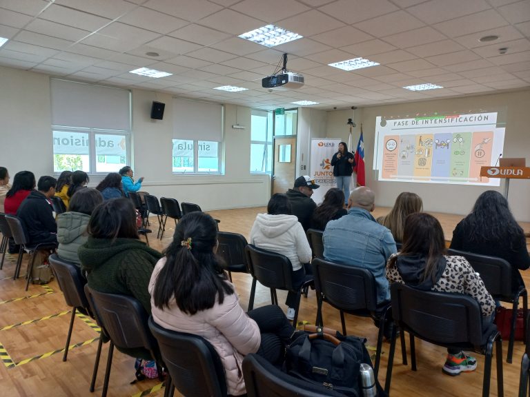 Estudiantes de Kinesiología y Fonoaudiología realizan taller para transmitir técnicas comunicativas y de interacción social a familias de personas con espectro autista