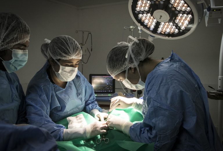 Escuela de Medicina Veterinaria capacita a los egresados de Técnico de Nivel Superior Veterinario en el manejo avanzado de heridas en mascotas