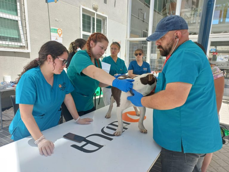 Campus Los Castaños de UDLA se pone a disposición de autoridades regionales para colaborar a través de distintas acciones en incendio que afectó a Viña del Mar