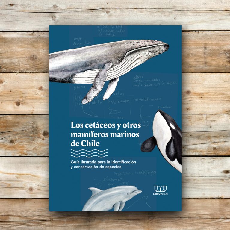 Investigador de la Facultad de Medicina Veterinaria y Agronomía participa como colaborador de la primera guía ilustrada sobre mamíferos marinos en Chile