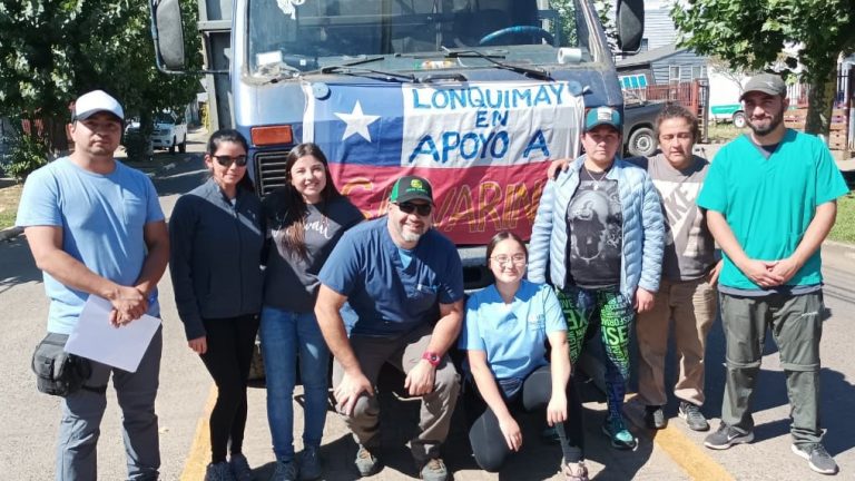 Equipo de la Escuela de Medicina Veterinaria se hace presente en Galvarino para realizar labores de atención médica a animales afectados por los incendios