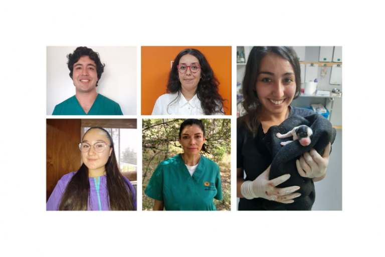 Compromiso comunitario: testimonios de miembros de la Escuela de Medicina Veterinaria de UDLA sobre su labor en los recientes incendios forestales del país