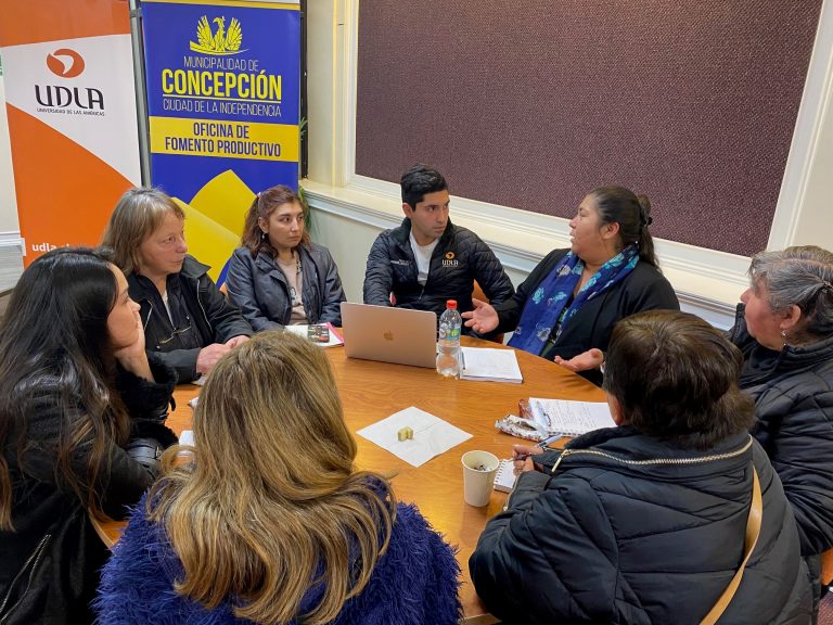 Escuela de Derecho y Facultad de Ingeniería y Negocios dictan taller de formalización a emprendedores de Concepción