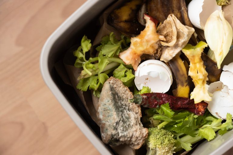 Desperdicio de alimentos en cafeterías universitarias son los temas abordados en actividad del Grupo de Investigación en Negocios Sustentables de UDLA