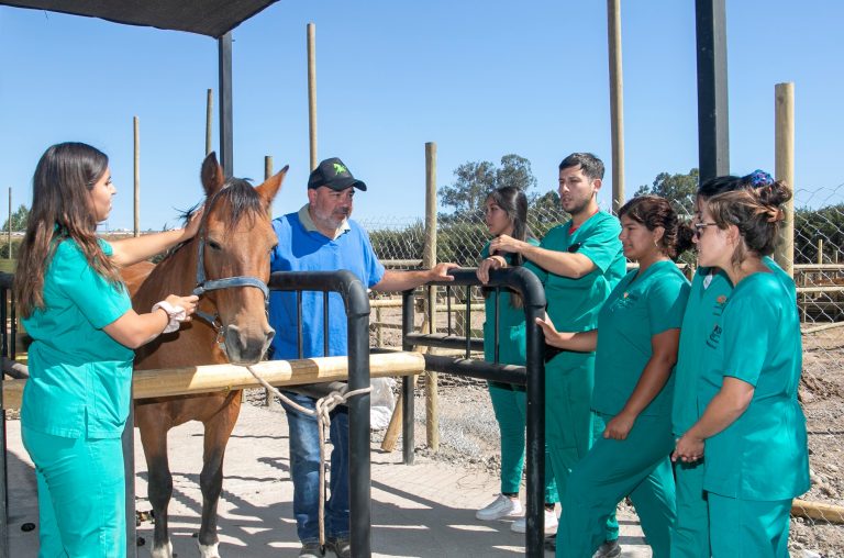 Estudiantes y comunidad aledaña son los principales beneficiados de las nuevas instalaciones veterinarias del Campus Melipilla