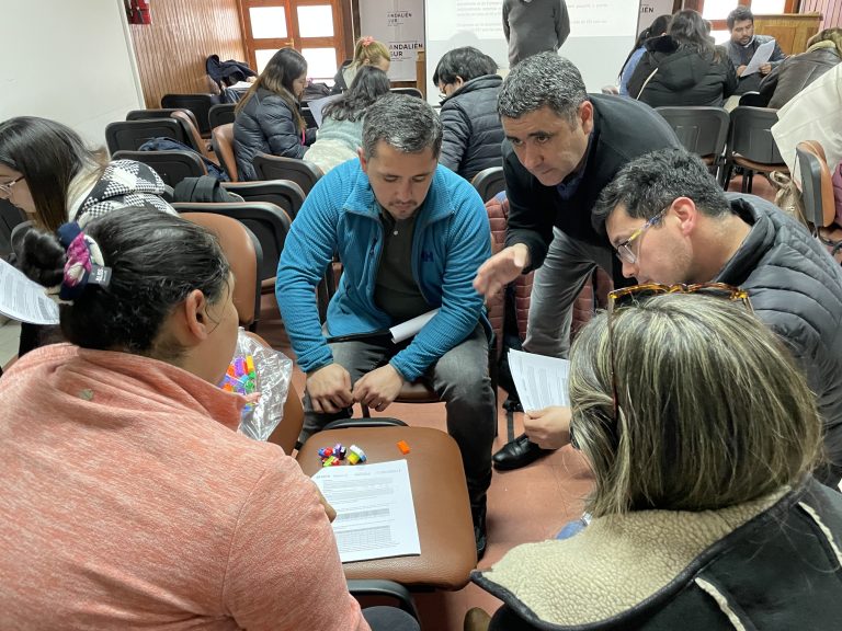 IMFE de Sede Concepción realiza primera sesión de capacitación para profesores de matemática del Servicio Local de Educación Andalién Sur