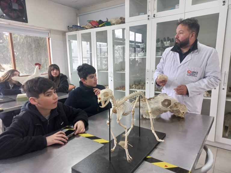 Niños y adolescentes de colegios de Petorca, que son parte de Proyecto FIC Región del Saber, visitan Campus Los Castaños para participar en talleres disciplinares