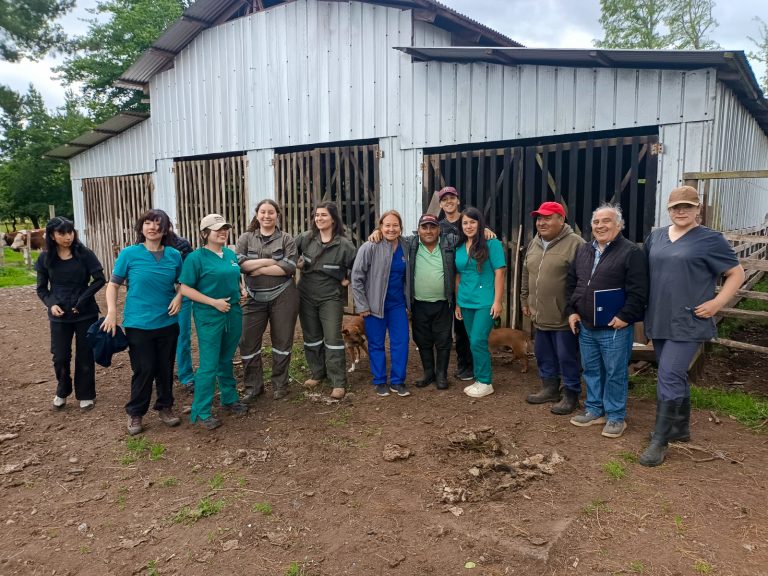 Hualañé, Osorno y localidades aledañas, son los lugares visitados en la gira de estudios de Medicina Veterinaria UDLA 2023