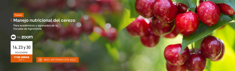Escuela de Agronomía UDLA dicta un nuevo curso para sus egresados enfocado en el manejo nutricional del cerezo