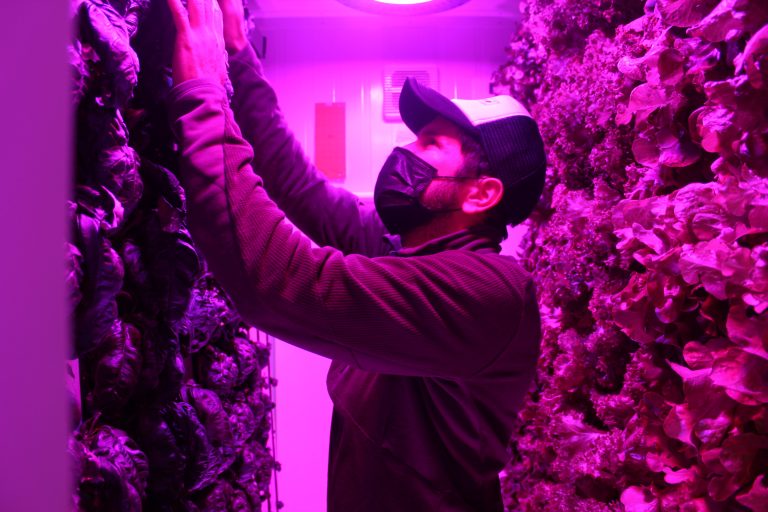 Tesistas de Agronomía realizan su práctica profesional en una de las 50 startups destacadas en innovación por el programa Transforma Alimentos de Corfo