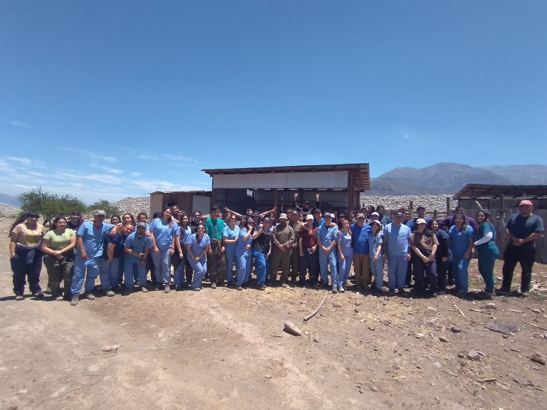 Más de 11.600 atenciones de animales menores y mayores es el balance de los operativos de Vinculación con el Medio de la Escuela Medicina Veterinaria UDLA en 2023