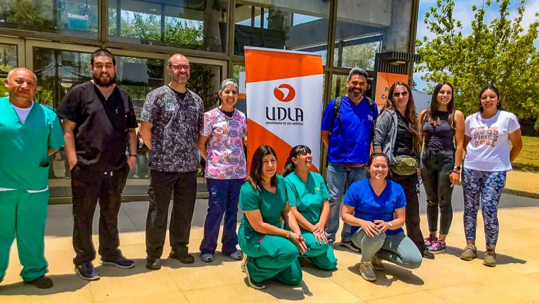 Académicos medicina veterinaria de sedes Concepción y Santiago UDLA participan en curso disciplinar enfocado en la actualización de procedimientos y manejo amigable del felino