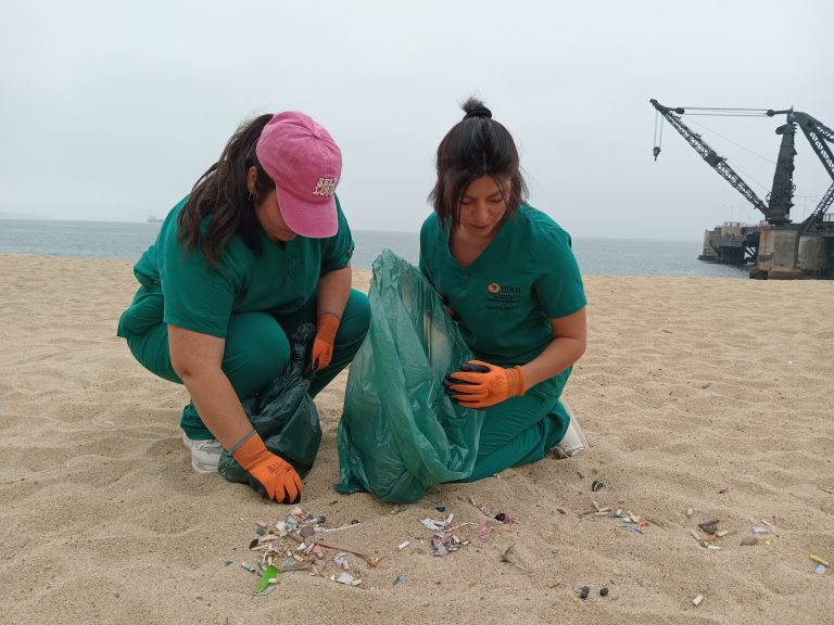 Vinculación con el Medio y carrera de Medicina Veterinaria de Sede Viña del Mar promueven el cuidado del medio ambiente marino con operativo de limpieza en playa
