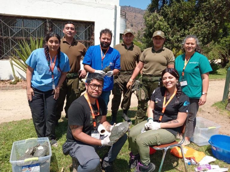 Acciones de UDLA en ayuda de damnificados de los incendios de la Región de Valparaíso